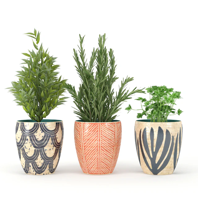 Kitchen Plant — Скачать
