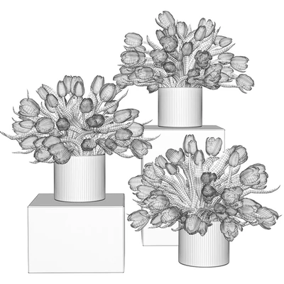 Yellow, red and white tulips in glass vases — Ver 5