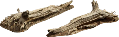 old fallen tree 003 — Descargar