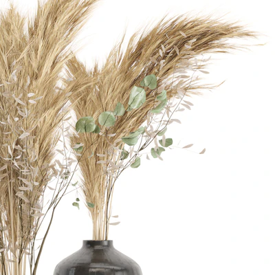 Dry plants 19 - Dried Plantset Pampas with Concrete vase — Ver 5