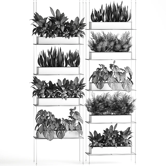 Vertical gardening of the home garden on a black flower shelf with a Monstera, a phytosten, a phytomodule. Set of 64 — Descargar
