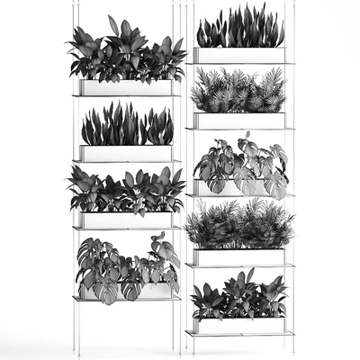 Vertical gardening of the home garden on a black flower shelf with a Monstera, a phytosten, a phytomodule. Set of 64 — Ver 5