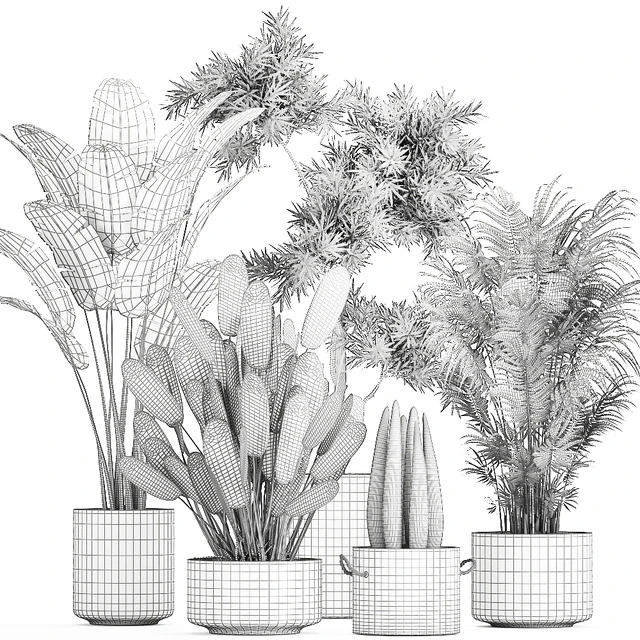 Collection of plants in concrete pots with Strelitzia, palm, Sansevieria. Set 754. — Descargar