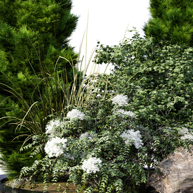 Garden plant set 04 — Descargar