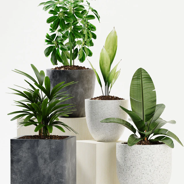 PLANTS 165 — Скачать