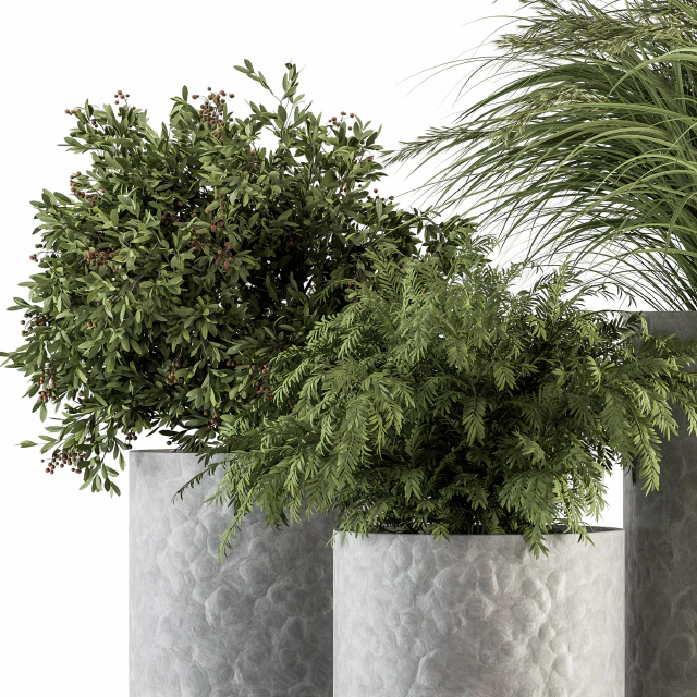 Outdoor Plant Set 292 - Plant Set in Concrete Pot — Descargar