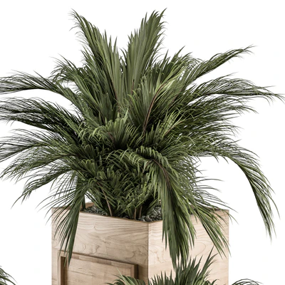 indoor Plant Set 318 - Plant Set in Wood Box — Вид 5