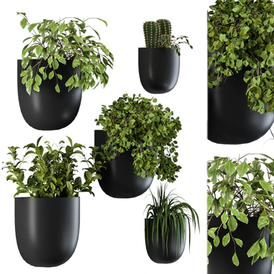 Plant Box on Wall 01 — Ver 1