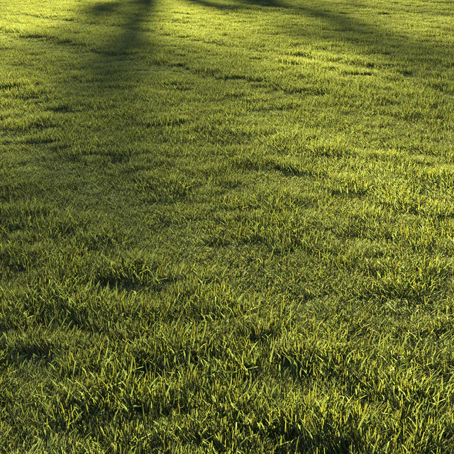 Lawn grass №2 — Descargar
