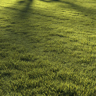 Lawn grass №2 — Ver 5