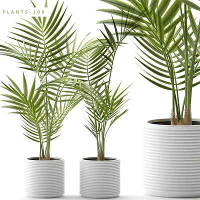 Plants 109 — Ver 1