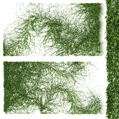 A long wall of ivy. 2 models — Ver 1