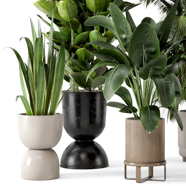 Indoor Plants in Ferm Living Bau Pot Large - Set 290 — Скачать