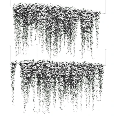 Ivy hanging from the ceiling. 2 models — Ver 4