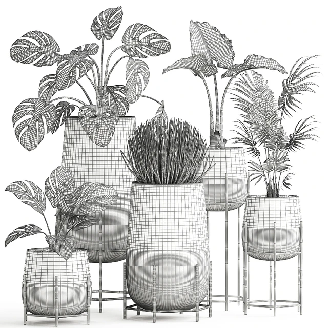 Collection of small indoor plants in modern pots on legs with Monstera, Palm, hovea, alokasia, Sansevieria. Set 547. — Descargar