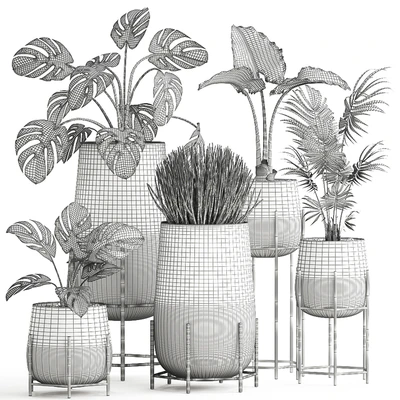 Collection of small indoor plants in modern pots on legs with Monstera, Palm, hovea, alokasia, Sansevieria. Set 547. — Ver 4