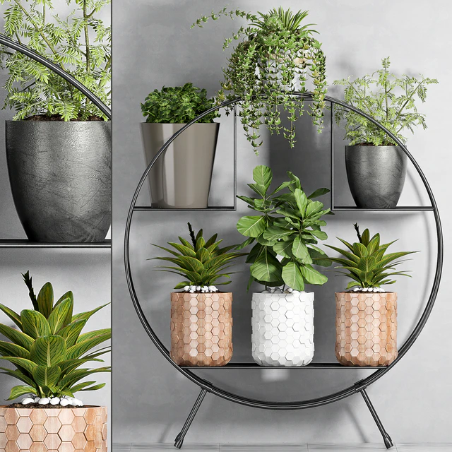 PLANT SET -87 — Скачать