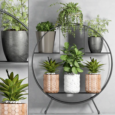 PLANT SET -87 — Вид 1