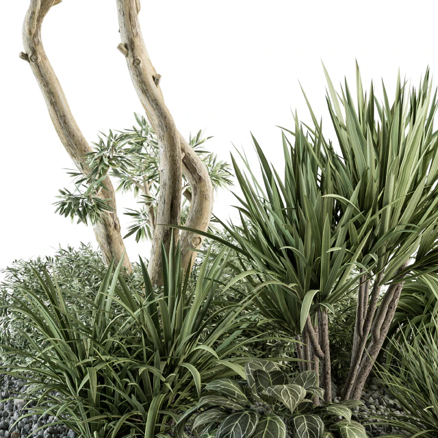 Needle tree and Bush - Outdoor Garden Set 305 — Descargar