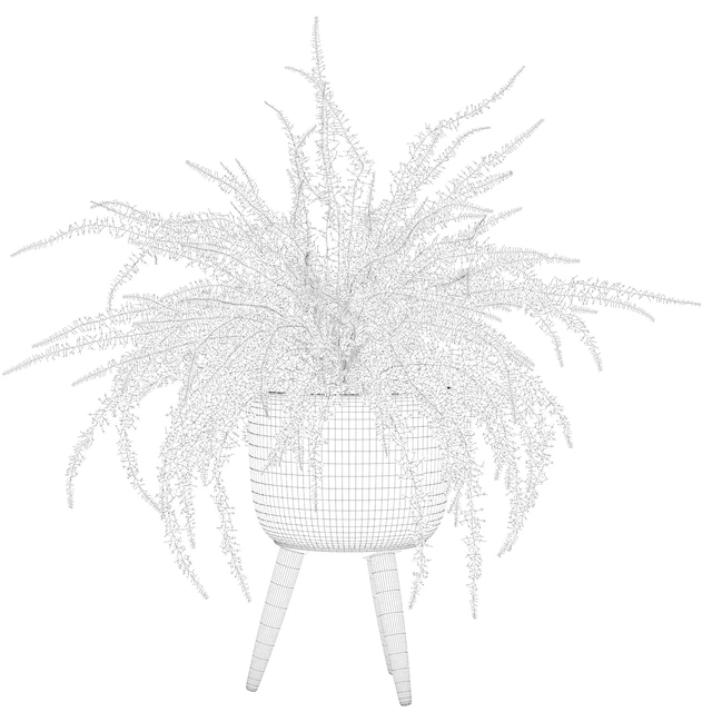 Fern indoor 01 — Скачать
