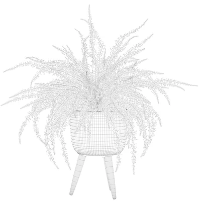 Fern indoor 01 — Вид 4