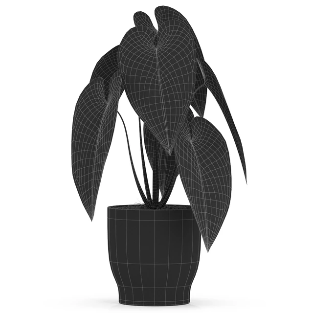 Plants collection 517 — Download