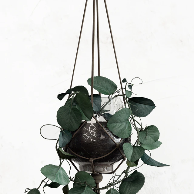 PLANTSET — Скачать
