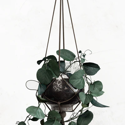 PLANTSET — Вид 3