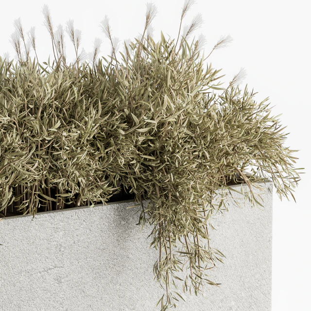 Outdoor Plants in Concrete Plant Box - Set 165 — Descargar