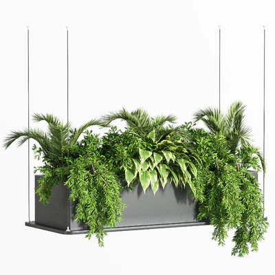Indoor Plant Set 32  (Hanging Plants) — Ver 5