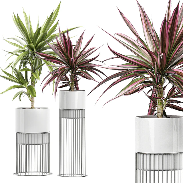 INTERIOR FLOWER PACK 51 — Descargar
