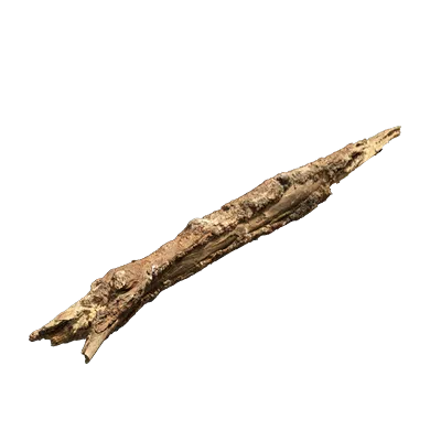 tree debris 004 — Descargar