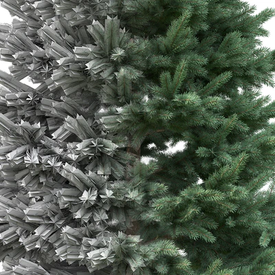 Spruce — Вид 4