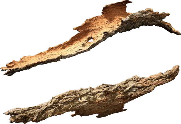 broken tree bark 001 — Скачать
