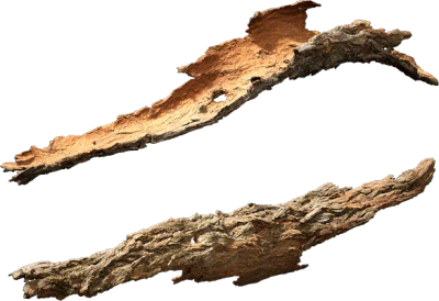 broken tree bark 001 — Скачать