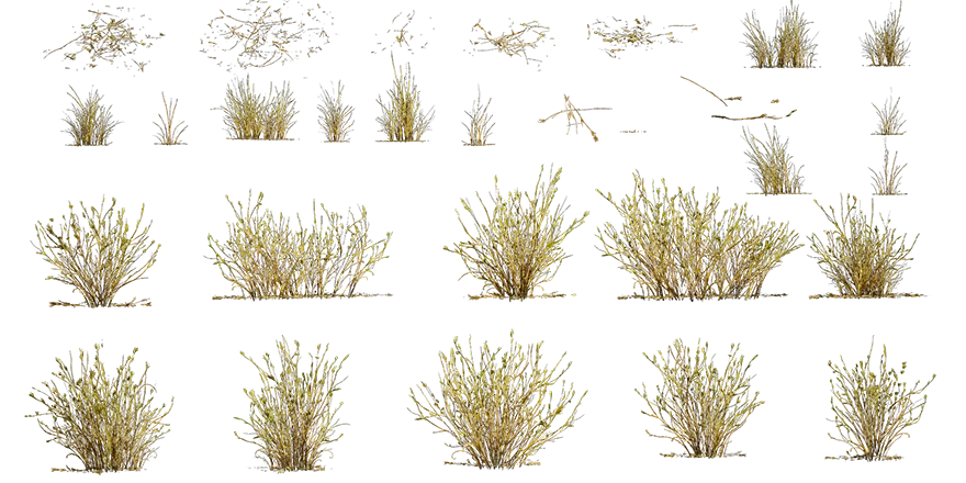 toad rush 001 — Скачать
