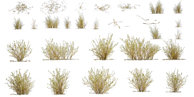 toad rush 001 — Скачать
