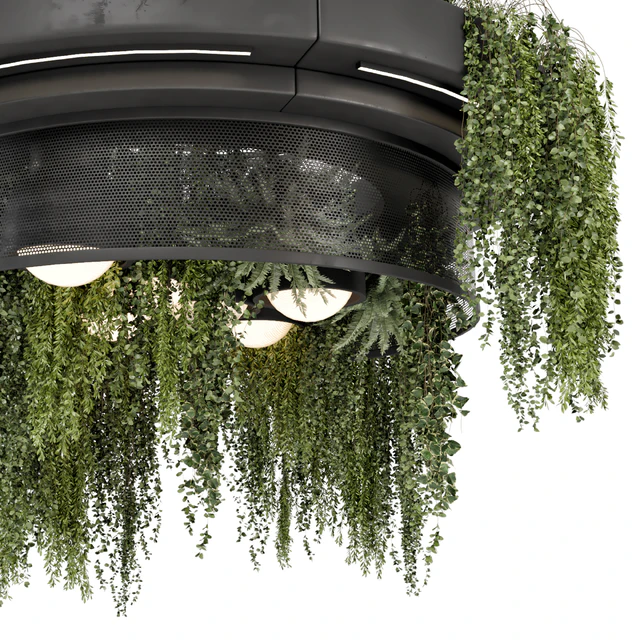 Indoor Hanging Plants in Metal Box - Set 1506 — Descargar