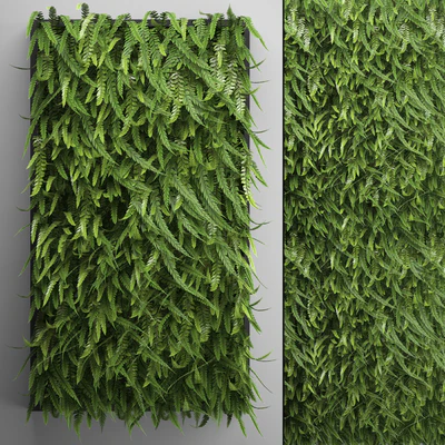 Vertical garden 17. FERN. Fern, phytowall, wall decor, phytomodule, bushes — Ver 1