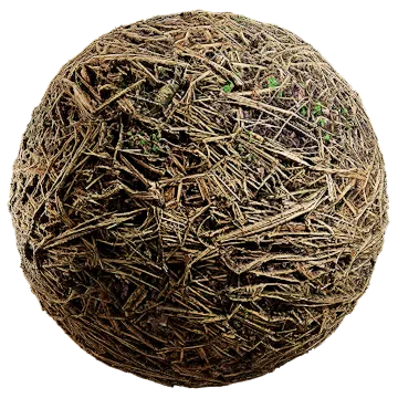 forest floor 036 — Скачать