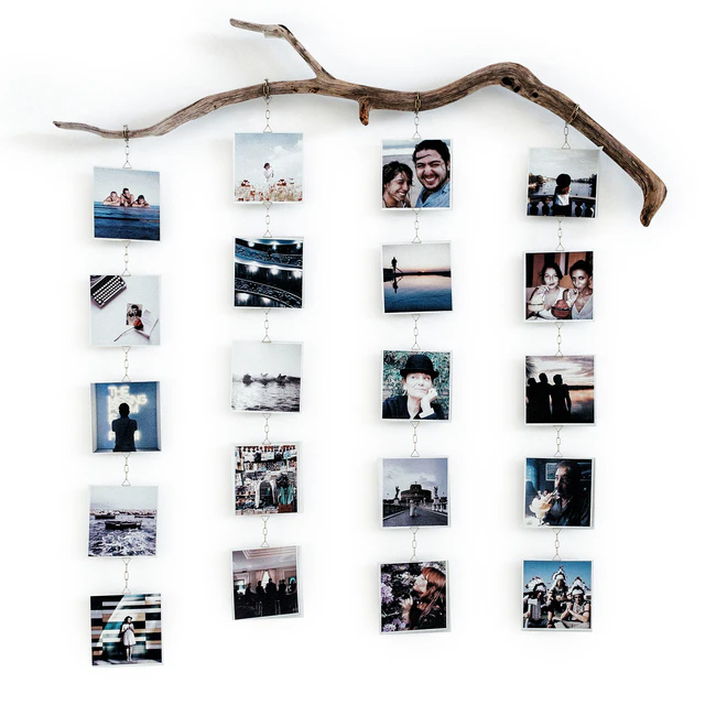 Photo branch — Скачать