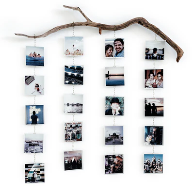 Photo branch — Вид 1