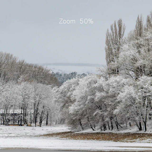 Panorama of the park with a lake and snow-covered trees. 45k — Download
