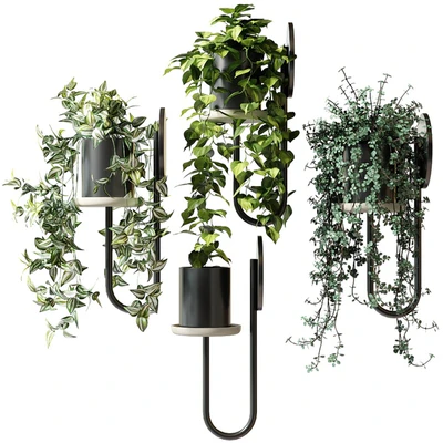 Ампельные растения в настенных кашпо CIGALES WALL От Miniforms — Вид 2