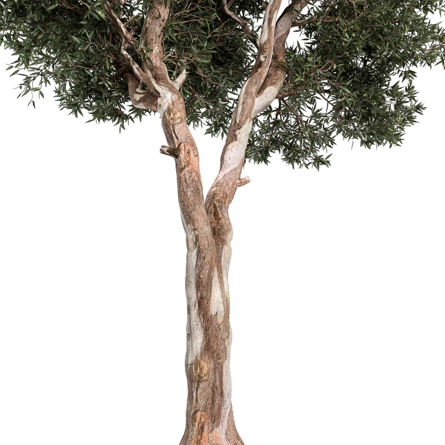 RedGum Tree - Tree Set 175 — Скачать