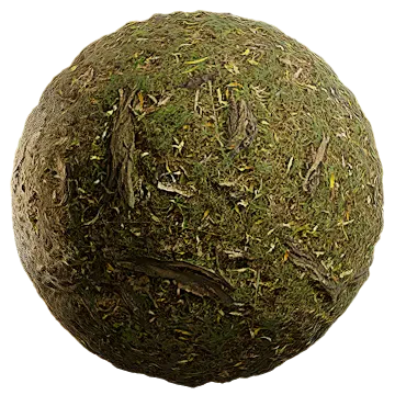 roots and grass 001 — Скачать