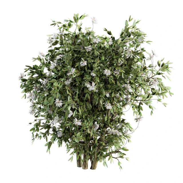 Flower Bush - Bush Set 15 — Descargar
