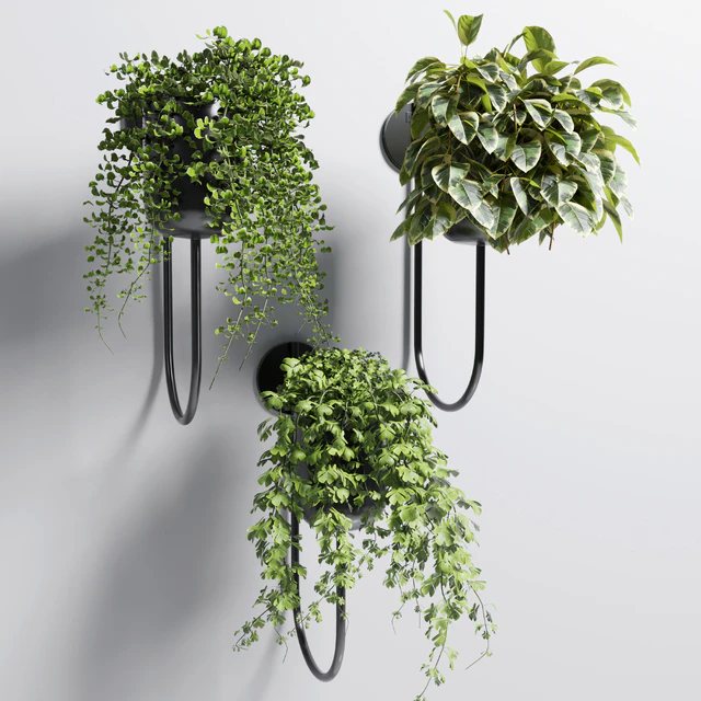 collection Indoor plant 135 vase metal stand wall plant — Скачать