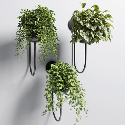 collection Indoor plant 135 vase metal stand wall plant — Вид 5