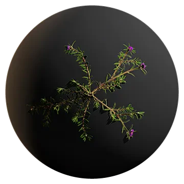 green weed vines 002 — Descargar